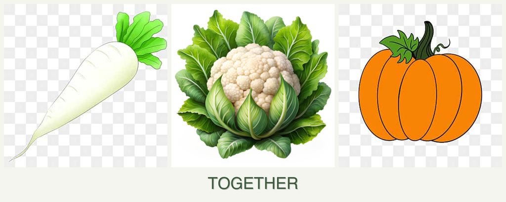 Can you plant radishes, cauliflower and pumpkin together?