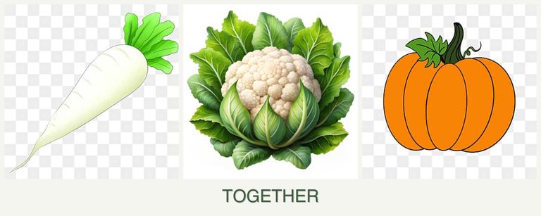 Can you plant radishes, cauliflower and pumpkin together?