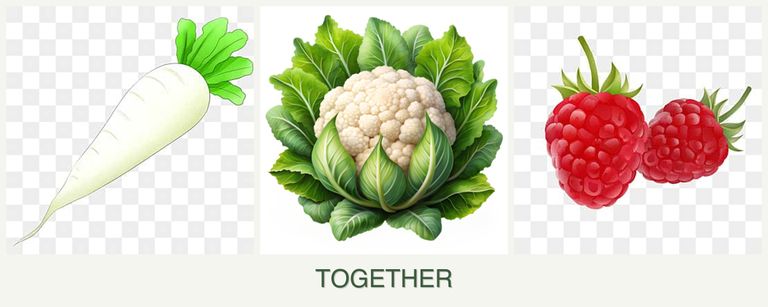 Can you plant radishes, cauliflower and raspberries together?