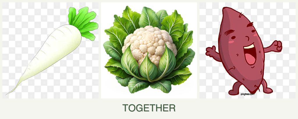 Can you plant radishes, cauliflower and sweet potatoes together?