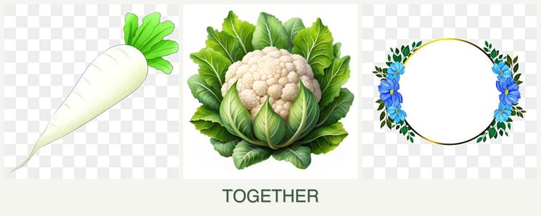 Can you plant radishes, cauliflower and zinnias together?