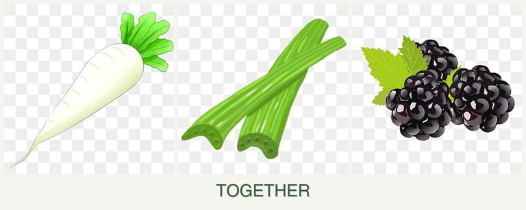 Can you plant radishes, celery and blackberries together?