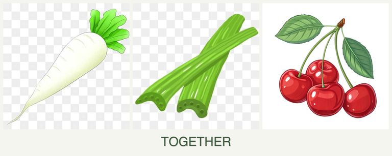 Can you plant radishes, celery and cherries together?