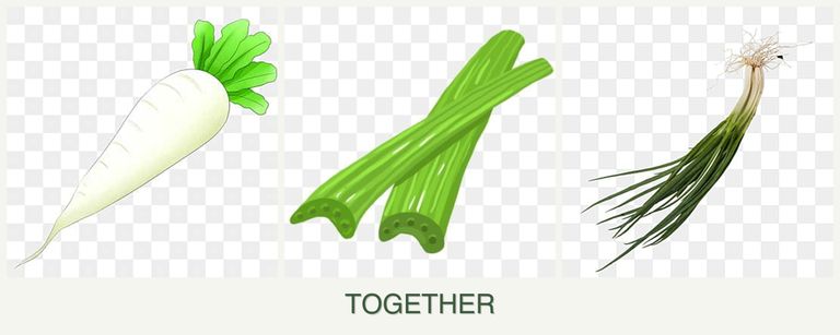 Can you plant radishes, celery and chives together?