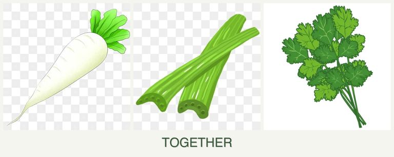 Can you plant radishes, celery and cilantro together?