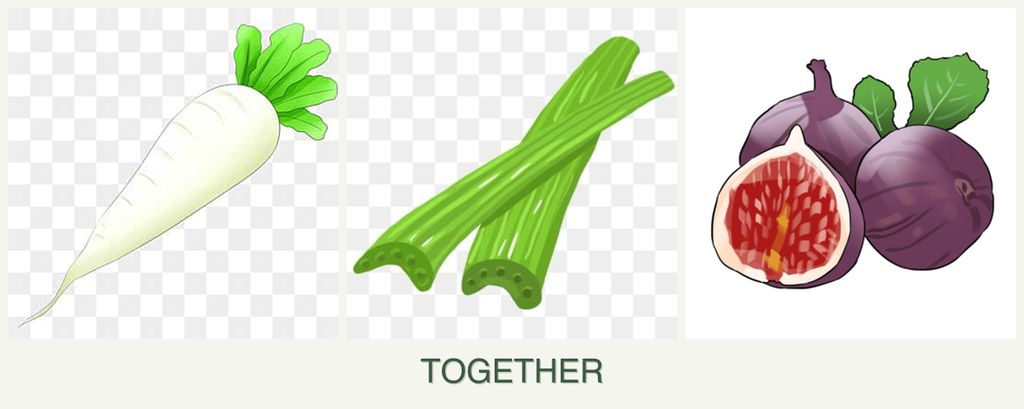 Can you plant radishes, celery and figs together?