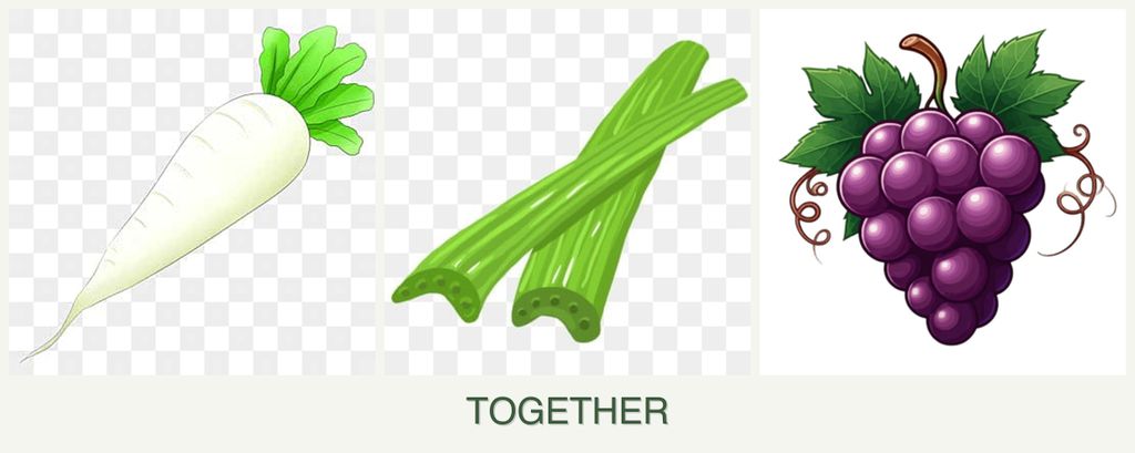 Can you plant radishes, celery and grapes together?