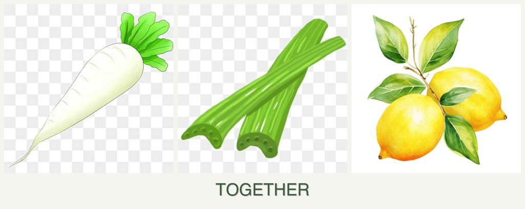 Can you plant radishes, celery and lemons together?