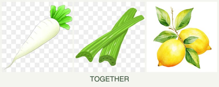Can you plant radishes, celery and lemons together?