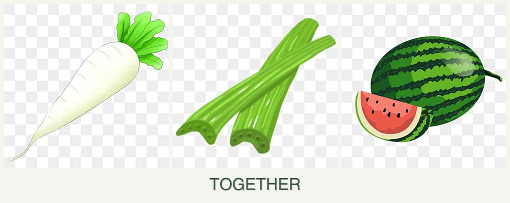 Can you plant radishes, celery and melons together?