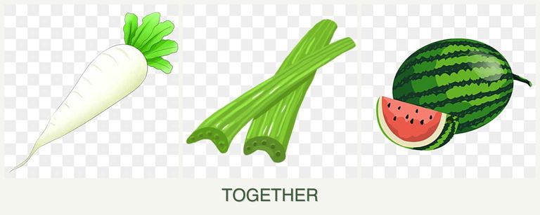 Can you plant radishes, celery and melons together?