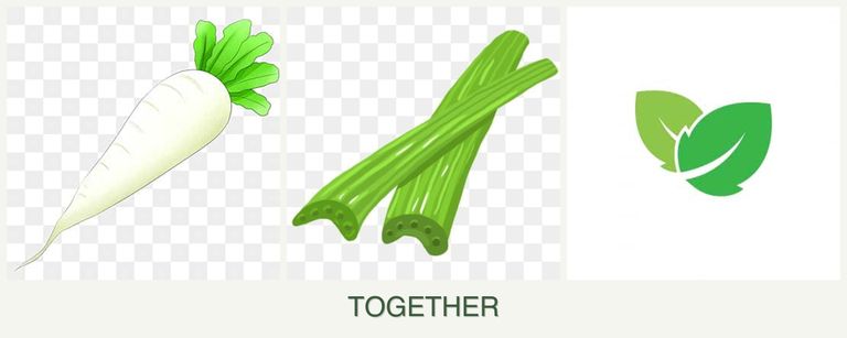 Can you plant radishes, celery and mint together?