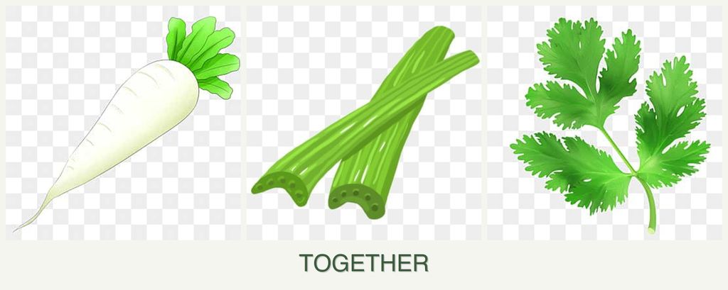 Can you plant radishes, celery and parsley together?