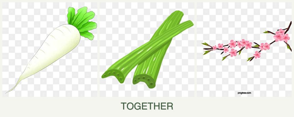 Can you plant radishes, celery and peaches together?