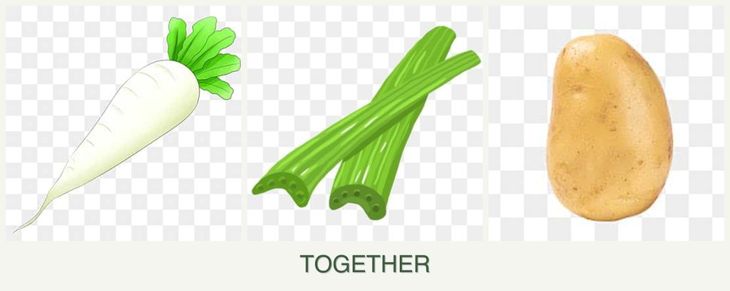 Can you plant radishes, celery and potatoes together?