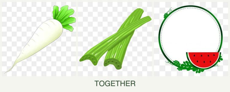 Can you plant radishes, celery and watermelons together?