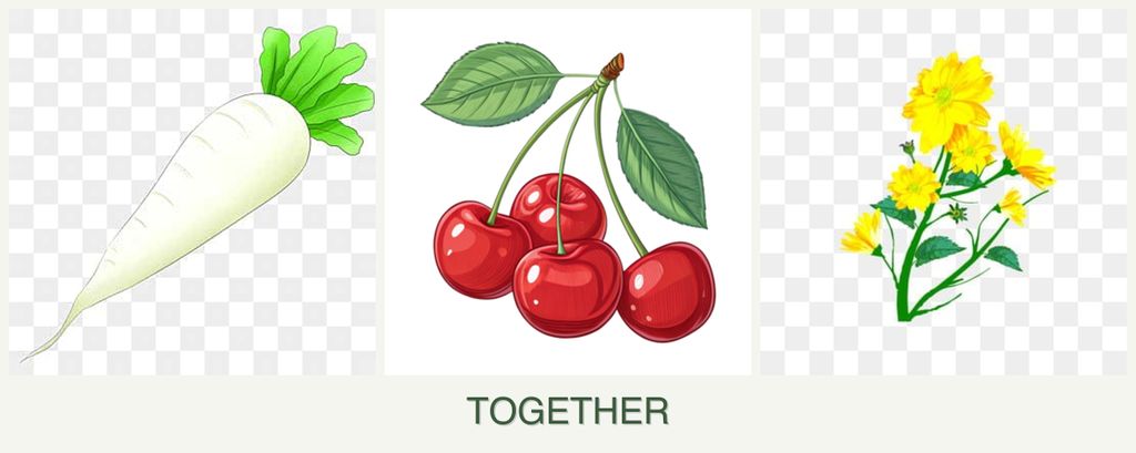 Can you plant radishes, cherries and calendula together?