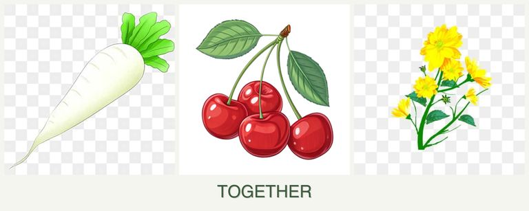 Can you plant radishes, cherries and calendula together?