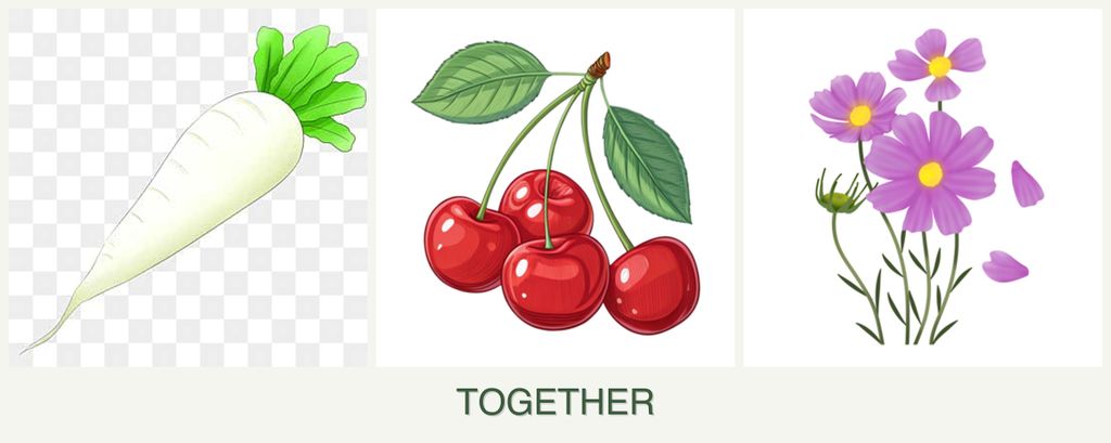Can you plant radishes, cherries and cosmos together?