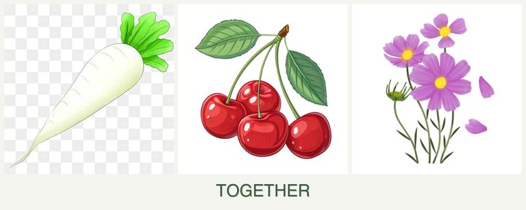 Can you plant radishes, cherries and cosmos together?