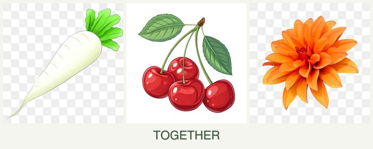 Can you plant radishes, cherries and dahlias together?