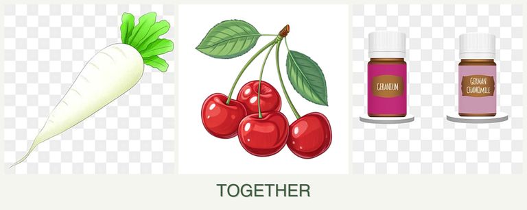 Can you plant radishes, cherries and geraniums together?
