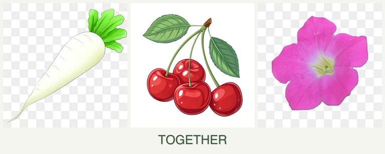Can you plant radishes, cherries and petunias together?