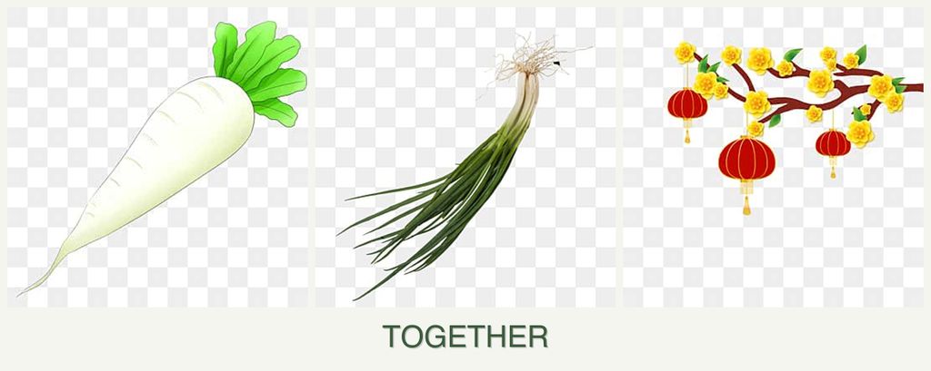 Can you plant radishes, chives and apricots together?