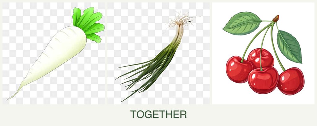 Can you plant radishes, chives and cherries together?