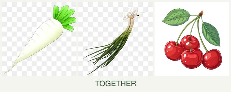 Can you plant radishes, chives and cherries together?