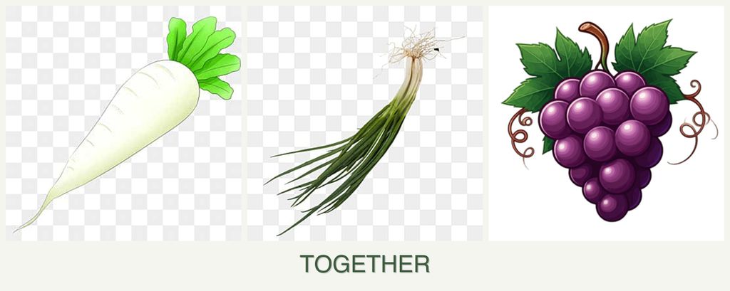 Can you plant radishes, chives and grapes together?