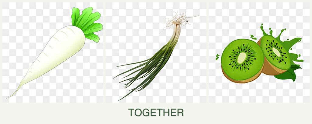 Can you plant radishes, chives and kiwi together?
