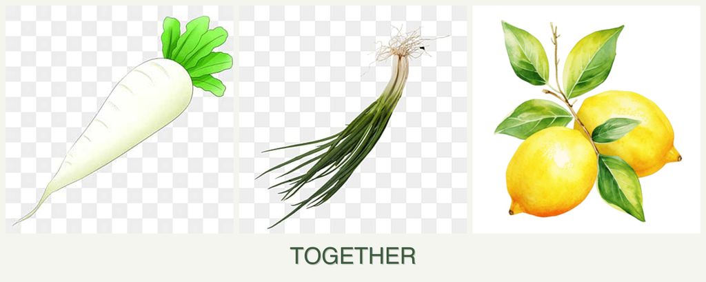 Can you plant radishes, chives and lemons together?