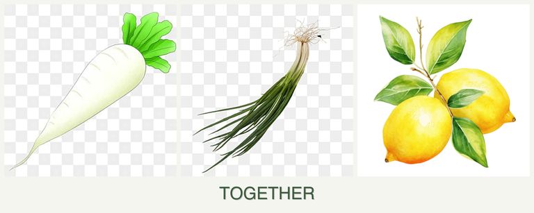 Can you plant radishes, chives and lemons together?