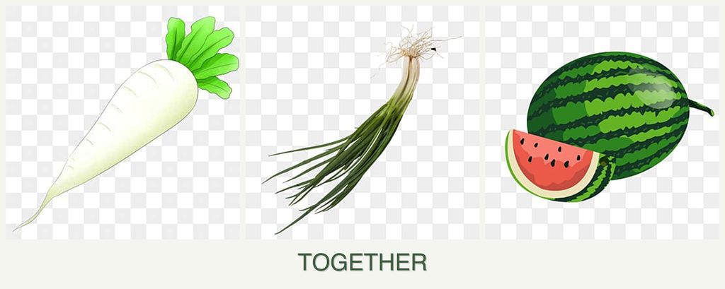 Can you plant radishes, chives and melons together?