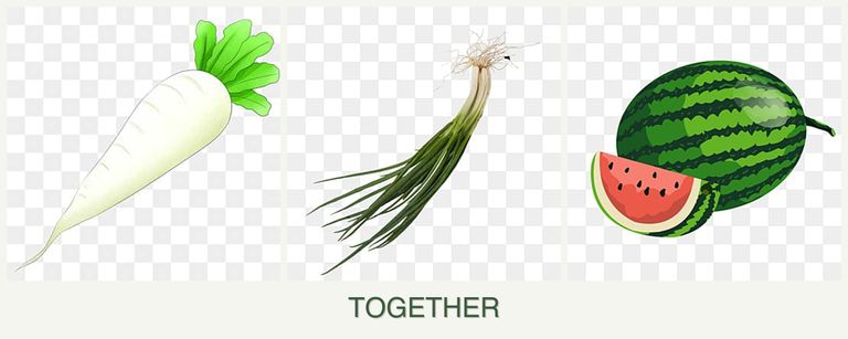 Can you plant radishes, chives and melons together?