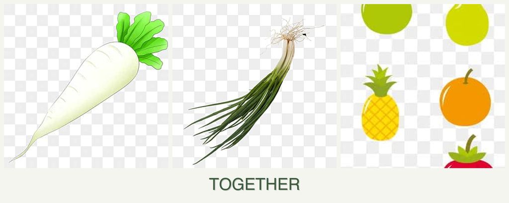 Can you plant radishes, chives and pears together?