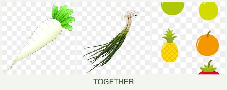 Can you plant radishes, chives and pears together?