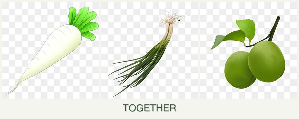 Can you plant radishes, chives and plums together?