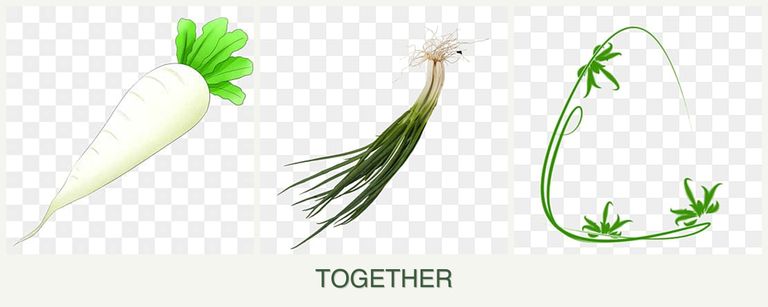 Can you plant radishes, chives and tarragon together?