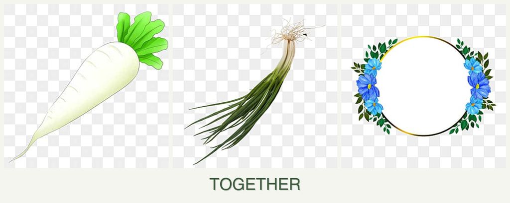 Can you plant radishes, chives and zinnias together?