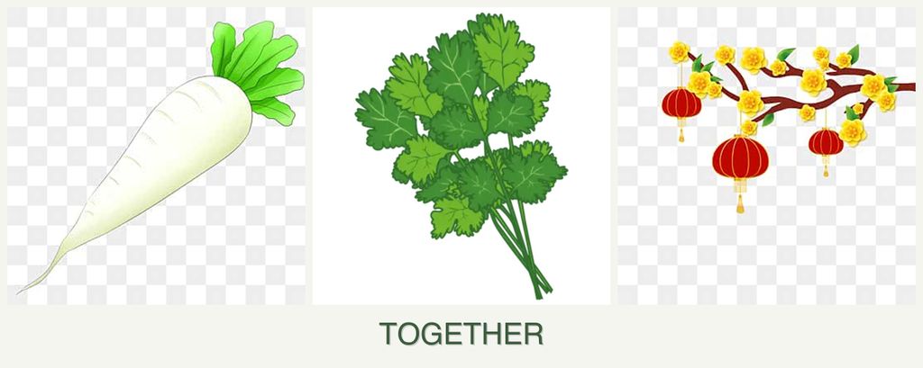 Can you plant radishes, cilantro and apricots together?