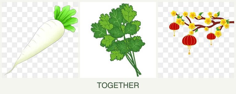 Can you plant radishes, cilantro and apricots together?