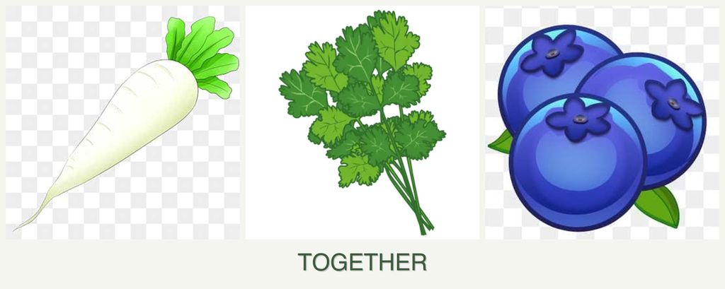 Can you plant radishes, cilantro and blueberries together?
