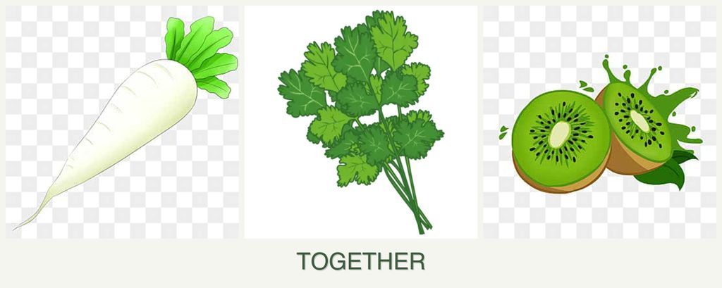 Can you plant radishes, cilantro and kiwi together?