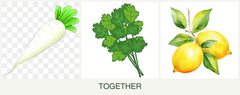 Can you plant radishes, cilantro and lemons together?