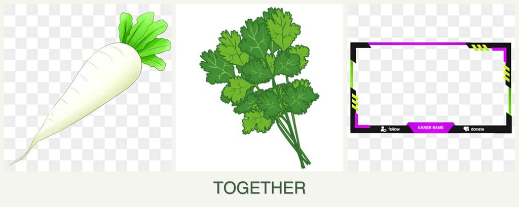 Can you plant radishes, cilantro and limes together?