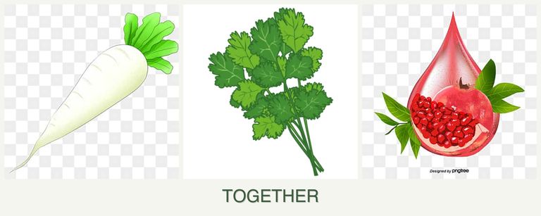 Can you plant radishes, cilantro and pomegranates together?