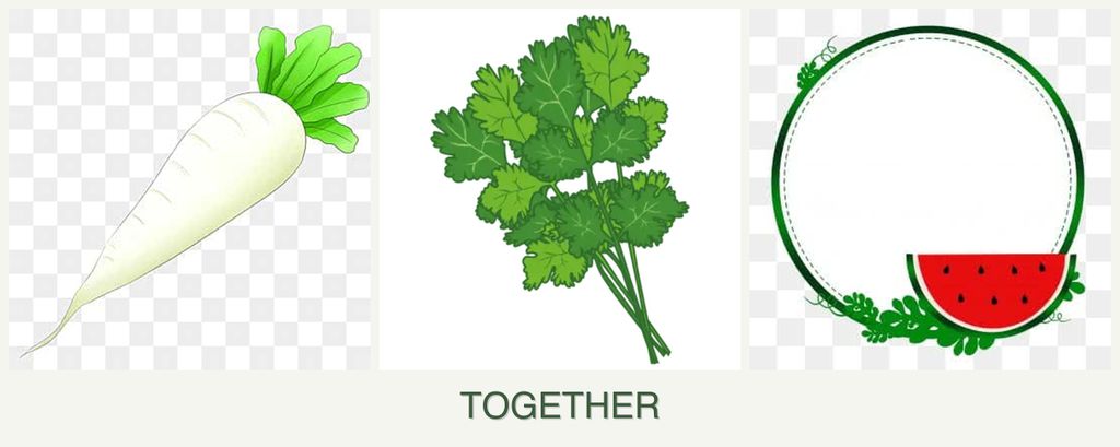 Can you plant radishes, cilantro and watermelons together?