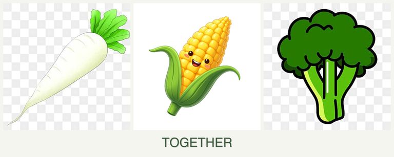 Can you plant radishes, corn and broccoli together?